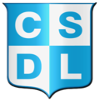 Team Flag Logo