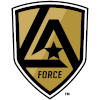 Team Flag Logo