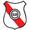 Team Flag Logo