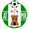 Team Flag Logo