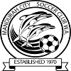 Team Flag Logo