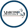 Team Flag Logo