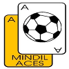 Team Flag Logo
