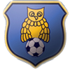 Team Flag Logo