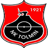 НК Толмин