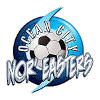 Team Flag Logo
