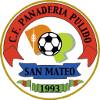 Team Flag Logo