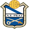 Team Flag Logo
