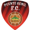 Team Flag Logo