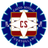 Team Flag Logo