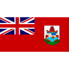 Team Flag Logo