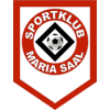 Team Flag Logo
