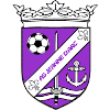 Team Flag Logo