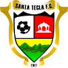 Team Flag Logo