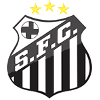 Team Flag Logo