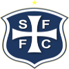 Team Flag Logo