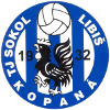 Team Flag Logo