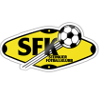 Team Flag Logo