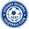 Team Flag Logo