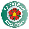 Team Flag Logo