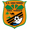Team Flag Logo
