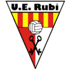 Team Flag Logo