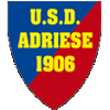 Team Flag Logo