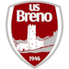 Team Flag Logo