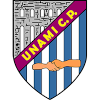 Team Flag Logo