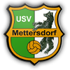 Team Flag Logo