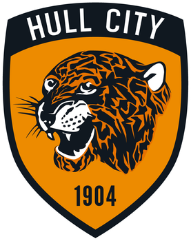 Team Flag Logo
