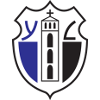 Team Flag Logo