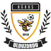Team Flag Logo