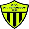 Team Flag Logo