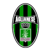 Team Flag Logo