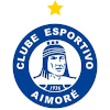 Team Flag Logo