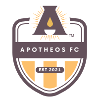 Team Flag Logo