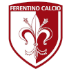 Team Flag Logo