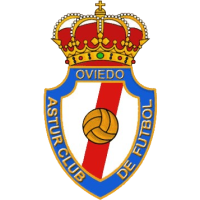 Team Flag Logo