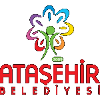 Team Flag Logo