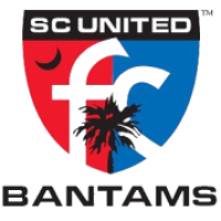 Team Flag Logo