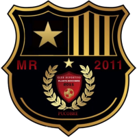 Team Flag Logo