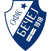 Team Flag Logo