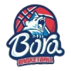 Бора