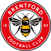 Team Flag Logo