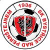 Team Flag Logo
