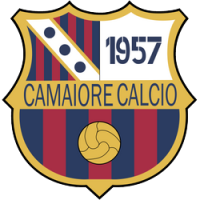 Team Flag Logo