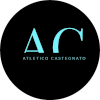 Team Flag Logo