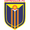 Team Flag Logo