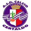 Team Flag Logo